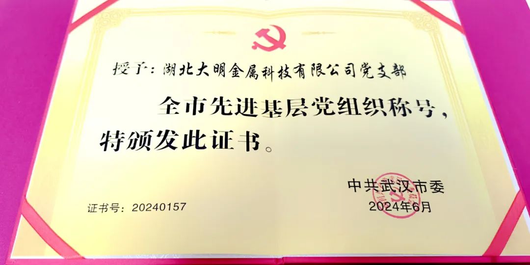 喜報(bào)！湖北大明黨支部榮獲“武漢市先進(jìn)基層黨組織”稱號(hào)